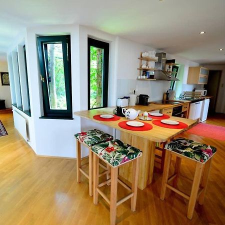 Green Haven Roofgarden Penthouse In Central Area Viena Exterior foto